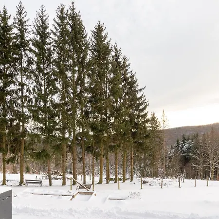 Groepshuis Waldfrieden Holiday home